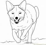Foxes Coloringpages101 sketch template