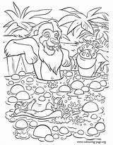 Timon Pumbaa Simba Colouring Pumba sketch template