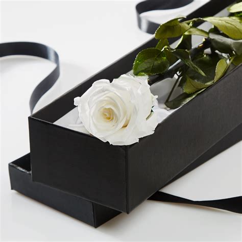 white timeless rose stem  gift box petals  roses