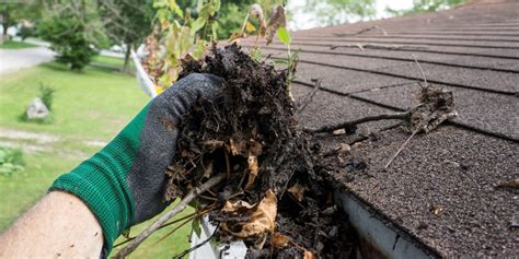 summer  ways gutter cleaning helps   window cleaning services
