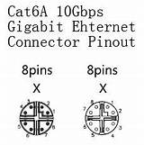 M12 Pinout Coding Coded Ethernet Gigabit Fleconn Cat6a Programming sketch template