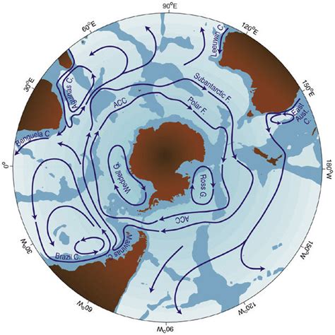 antarctic circumpolar current acc   ocean current   scientific