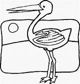 Colorir Stork Uccelli Saracura Animali Aves Sarau Kifest Devaneios Louca Poeta sketch template