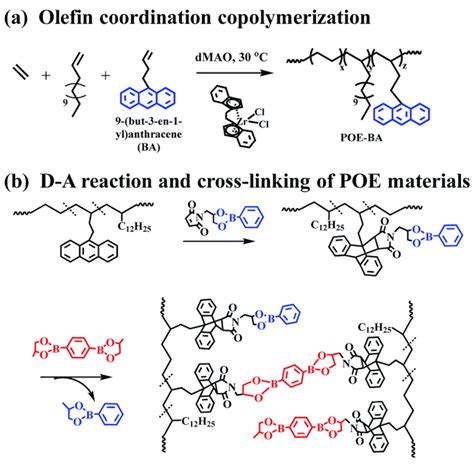 polymers  full text boronic acid esters  anhydrates  dynamic cross links  vitrimers