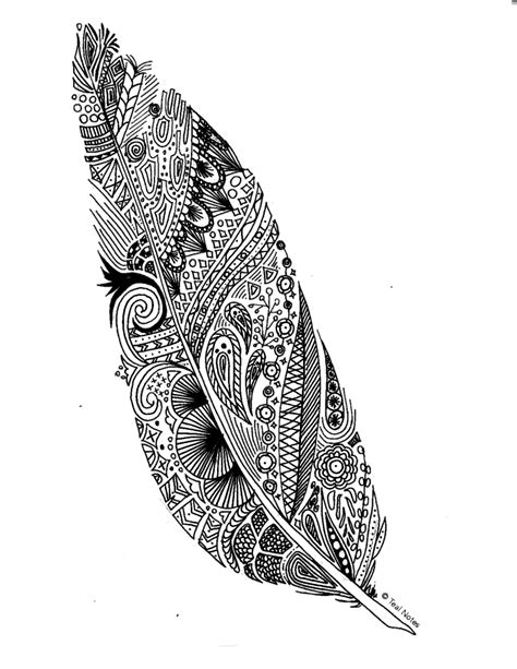 feather coloring page  adults  kids