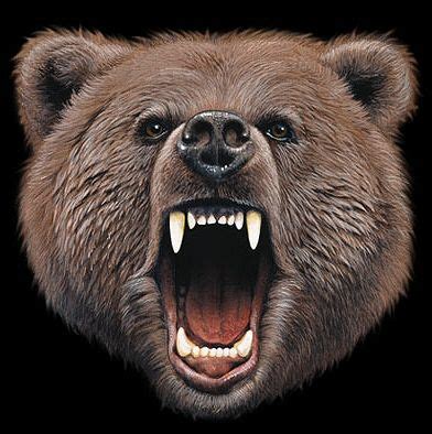 bear roar google trsene projects pinterest bears google