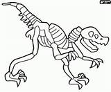 Esqueleto Dinosaurio Dinosaurios Dibujo Huesos Dinossauro Skelet Colorir Dinosaurus Fosil Desenhos Dinossauros Fosiles Dinosaures Dinosaurier Dinosaure Hueso Kleurplaat Malvorlagen Skelett sketch template