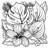 Flores Tropicales sketch template