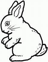 Bunny Coniglio Hase Kaninchen Kaniner Tegninger Kleurplaat Coelho Iepurasi Kleurplaten Ausdrucken Kanin Seduto Colorir Rabbits Tegning Konijn Disegnare Froehlicher Sitzender sketch template