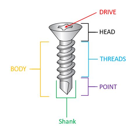 anatomy   screw  bolt vocabulary basics cde fasteners