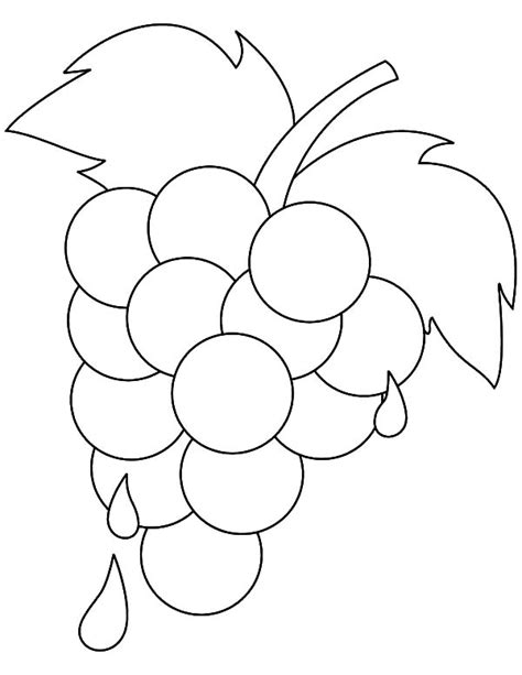 small grapes coloring page native varieties   grape   hybrids   grapes