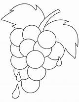 Grapes Coloring Pages Extract Printable Color Colorluna sketch template