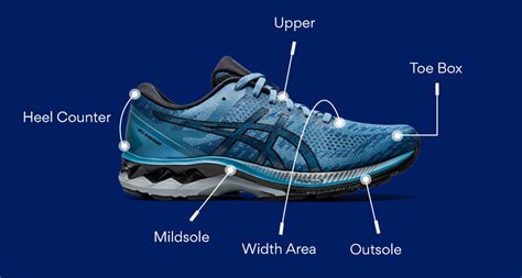 anatomy   running shoe sockliner heel counter   asics