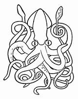 Squid Whale Kraken Colossal Kunjungi Designlooter Squidoo sketch template