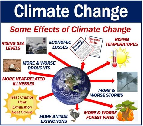 climate change definition  examples market business news