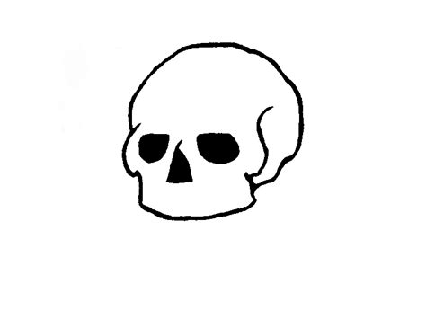 skull template wip  leb  deviantart