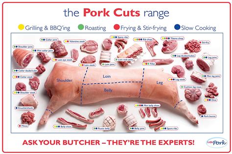 pork cuts butcher chart laminated poster etsy