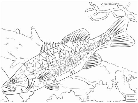 basses coloring pages coloringbay