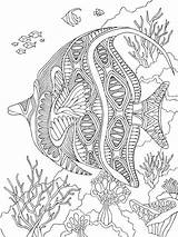 Coloring Pages Zentangle Fish Adults Adult Printable Bright Teens Colors Favorite Choose Color sketch template