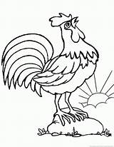 Rooster Coloring Pages sketch template