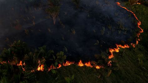 fires raging   amazon huffpost