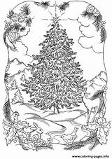 Coloring Christmas Tree Pages Adults Nature Printable Print Color Prints sketch template