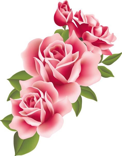 flor rosa png png image collection