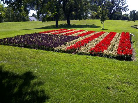 american flag flower bedused red white  blue salvias