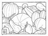 Gourds sketch template