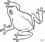 Rana Colorare Frosch Disegni Dibujos Ausmalbild Bambini Anfibi Rane Frogs Jumping Supercoloring Simples Clipartmag Rospo Colorear Disegnidacolorare sketch template