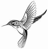 Hummingbird Simple Template sketch template