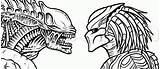 Predator Depredador Xenomorph Babble Ongoing Trese Outlines Aliens Tribales Alienwarearena sketch template