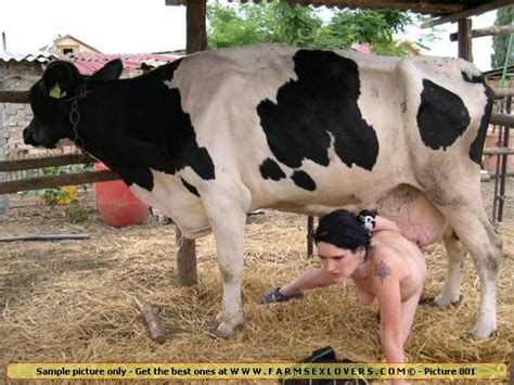 cow fuck to girls top porn