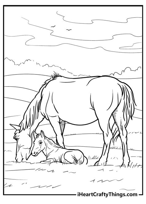 horse coloring pages   uploaded
