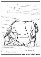 Horse Coloring Pages sketch template