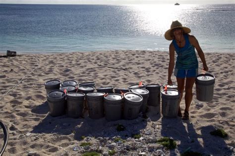 무료 사진 여성 젊은 여자 해변 작업