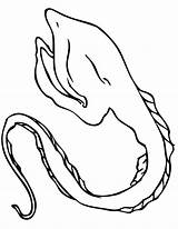 Eel Coloring Color Pages Animal Animals Print Back sketch template