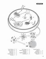 Workbook sketch template