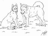 Huskies Siberian Lineart Canis Simensis sketch template
