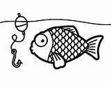 Fish Hook Coloring Template Pages Colorear sketch template
