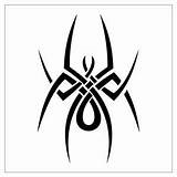 Tattoo Tribal Spider Celtic Designs Tattoos sketch template