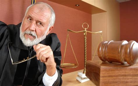 courts interpret statutory law  picture