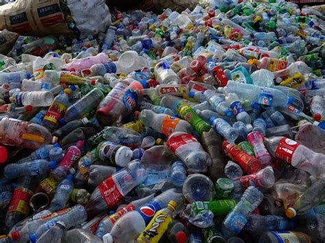 bacteria   eat plastic bottles discovered  scientists  independent  independent