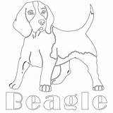 Beagle Beagles sketch template