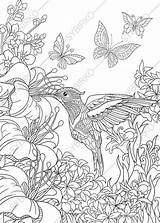 Hummingbird Printable Zentangle sketch template