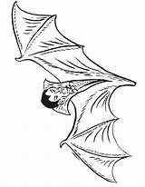 Vampiri Fledermaus Ausmalbilder Bat Ausmalbild Stampare Letzte Seite sketch template