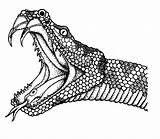 Serpiente Serpientes Anaconda Schlange Anacondas Bunte Einfache Skizzen Anakonda Getdrawings Mongoose Coloringhome Lenda Imagen Rincondibujos Printmania Rattlesnake Cobras Navegación sketch template