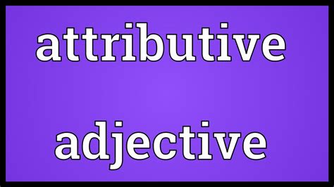 attributive adjective meaning youtube