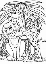 Coloring Animals Pages Jungle Preschool Safari Printable Color Getcolorings Print sketch template