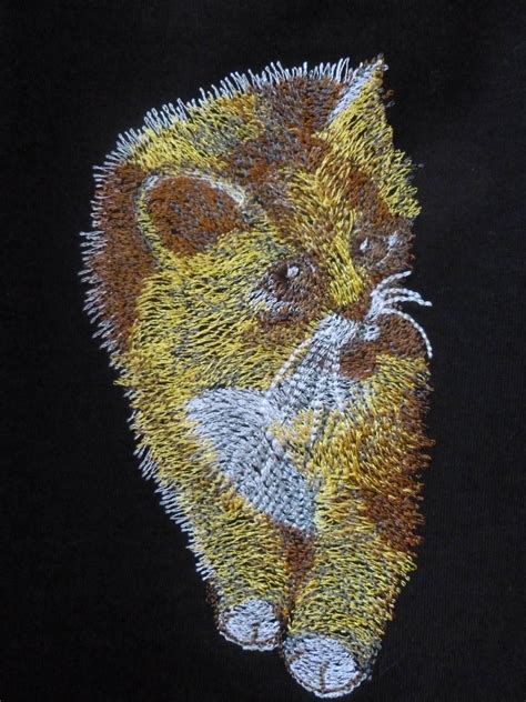 cute kitten  machine embroidery design showcase